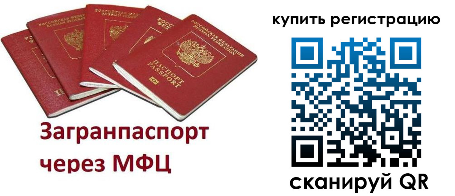 прописка гарантия в Пионерском